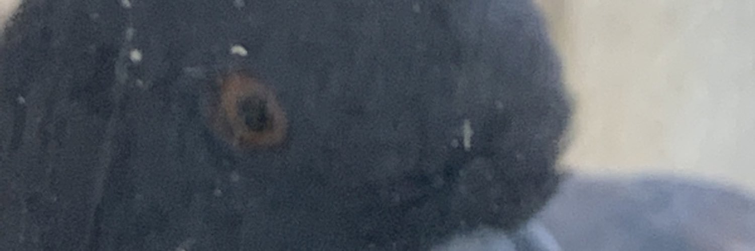 Cyz banner