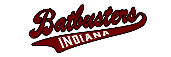 Batbusters_IN Profile Banner