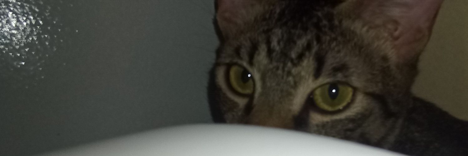 thawneeet's profile banner image