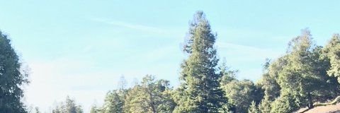PTCinCA's profile banner image