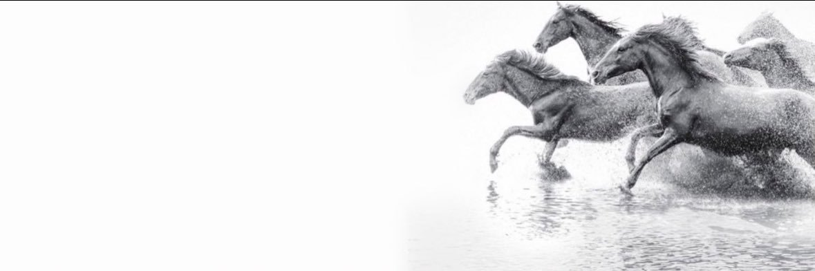 almohammadii1's profile banner image
