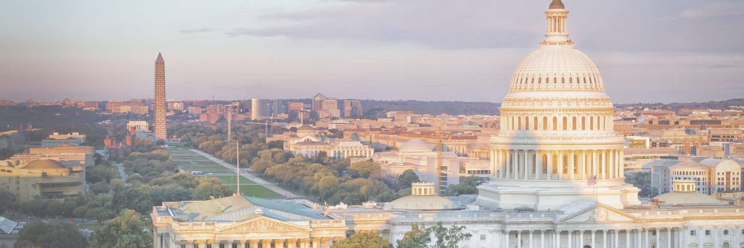 Center for Renewing America's banner