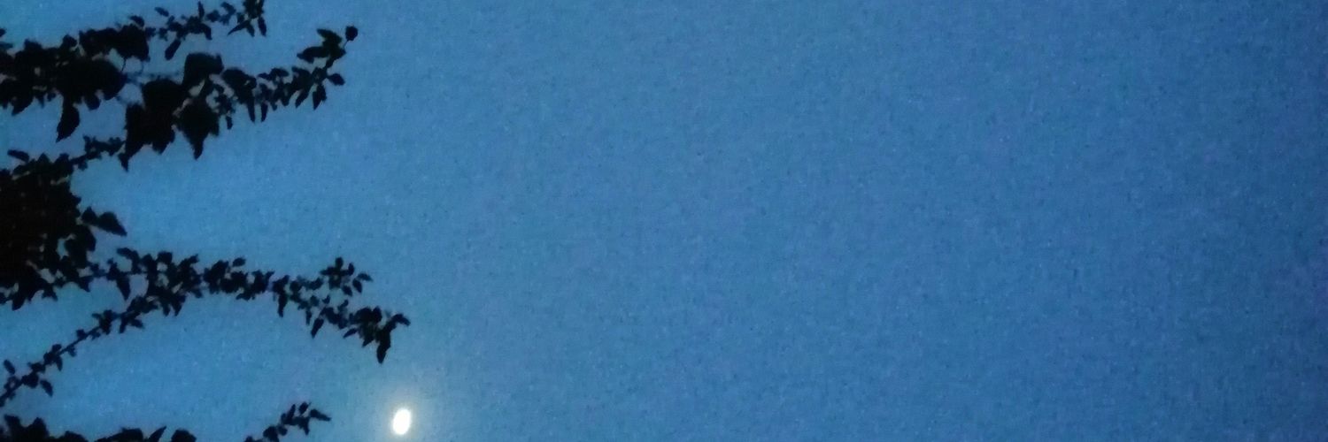 MahanEmp's profile banner image