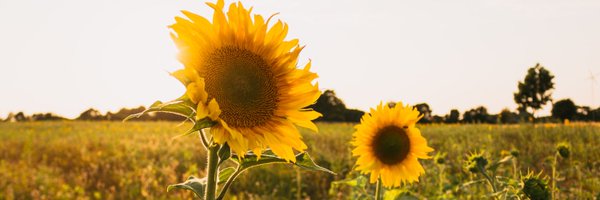 GreenInvest6 Profile Banner