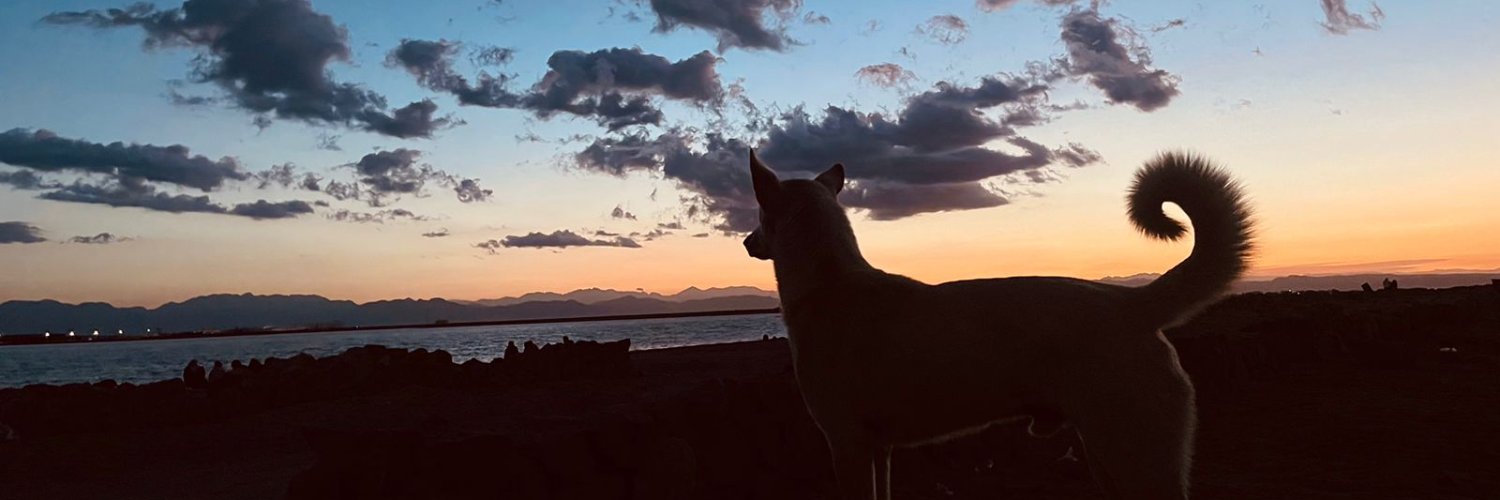 maramshamel's profile banner image