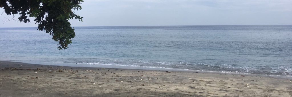lsebj's profile banner image