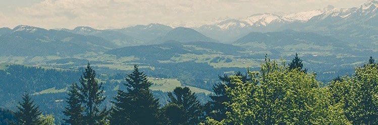 daniela_chapula's profile banner image