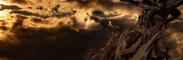 bia banner