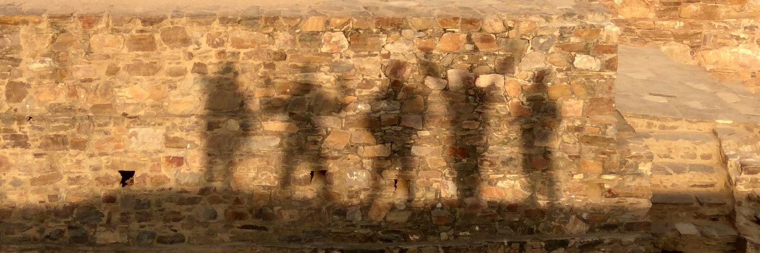 adiashish3's profile banner image