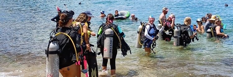 DivingRincon's profile banner image