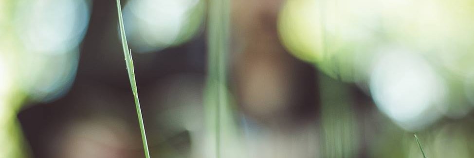 JulienDestange's profile banner image