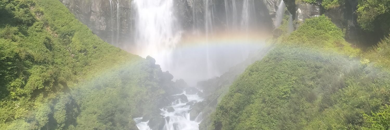 トマス・ディディモ banner