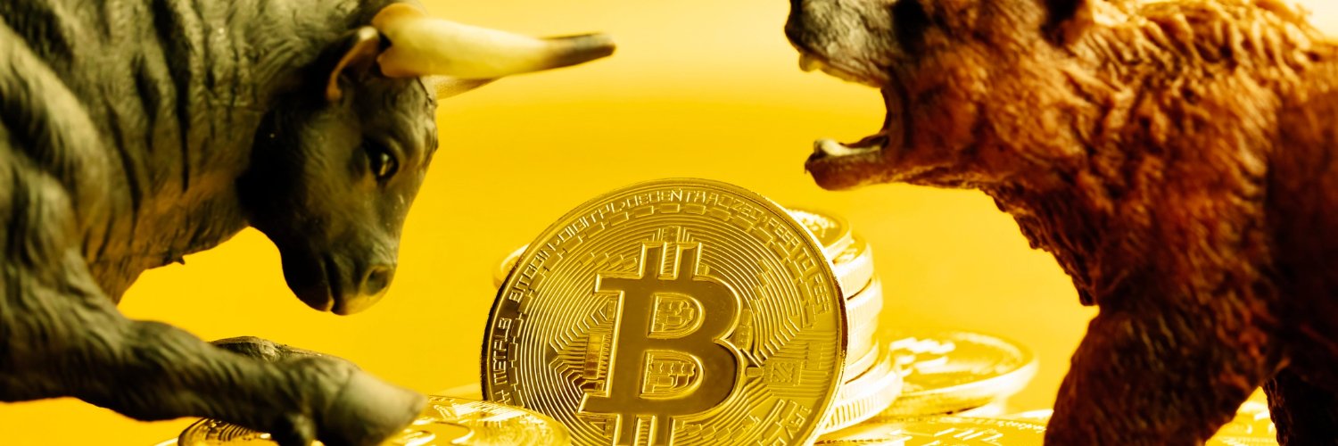 Stanislav Tsss banner