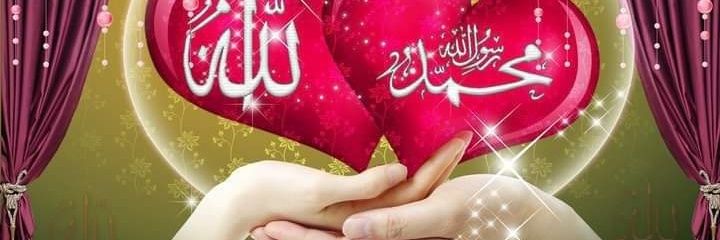 SelimHebba's profile banner image