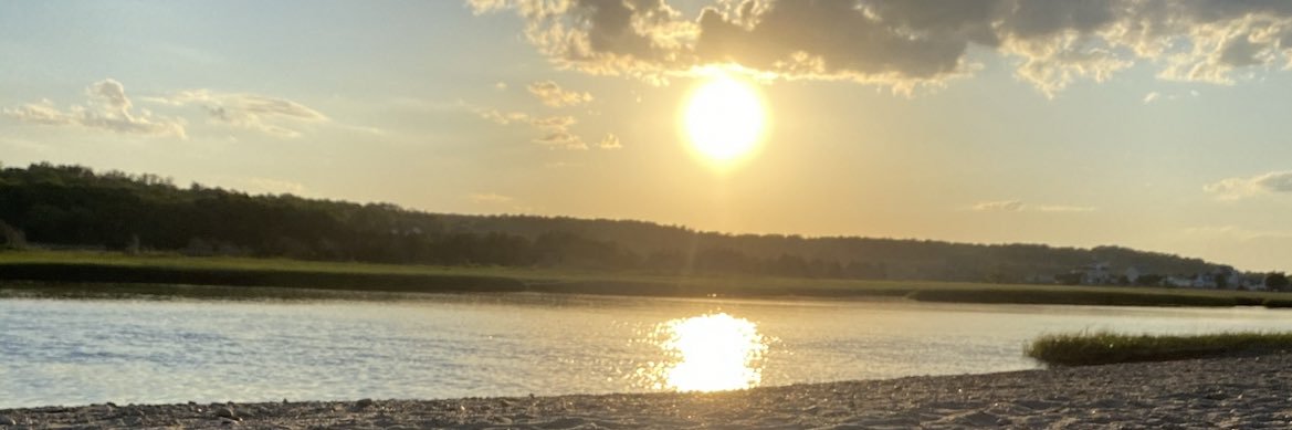 prexyszn banner