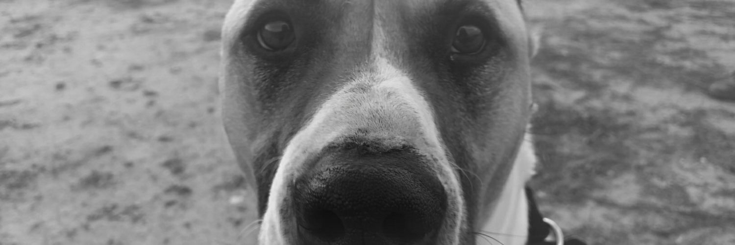 MrsGlou_'s profile banner image