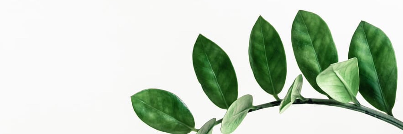 Aimee_Tu2's profile banner image