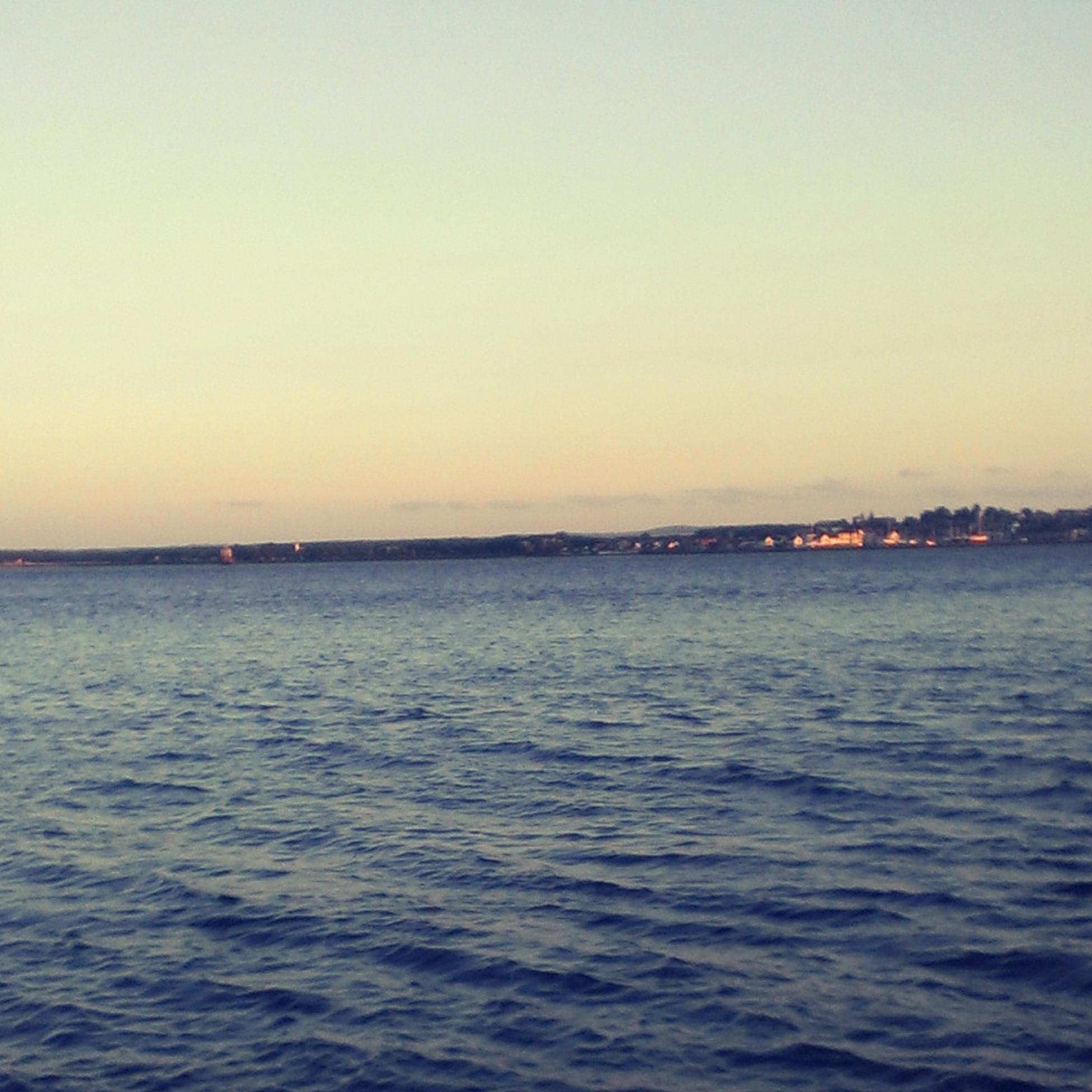 Miss Watson banner