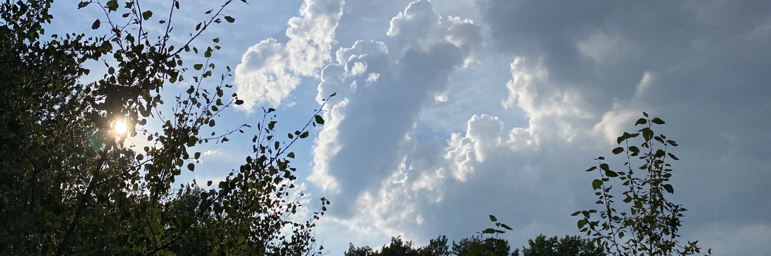 NorthofRyan's profile banner image
