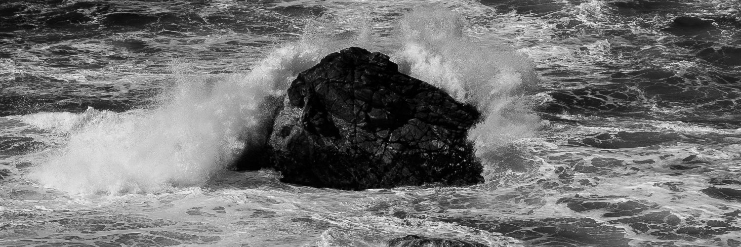 Timothy Peacock banner