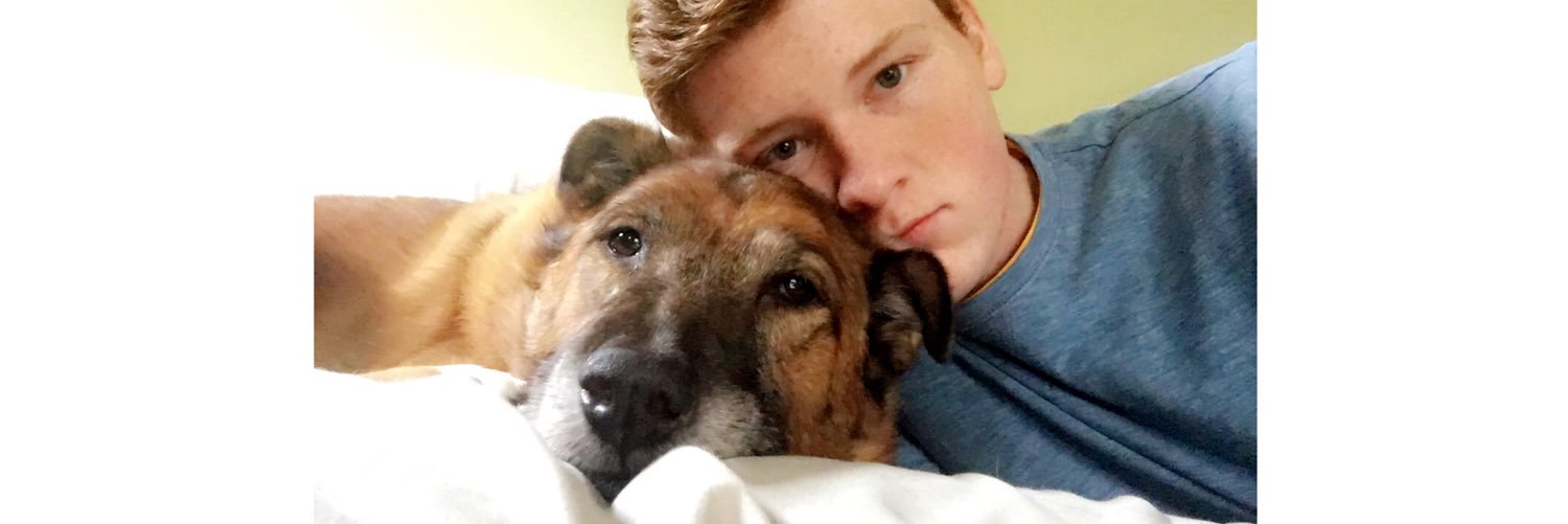 Reidy_Andrew22's profile banner image
