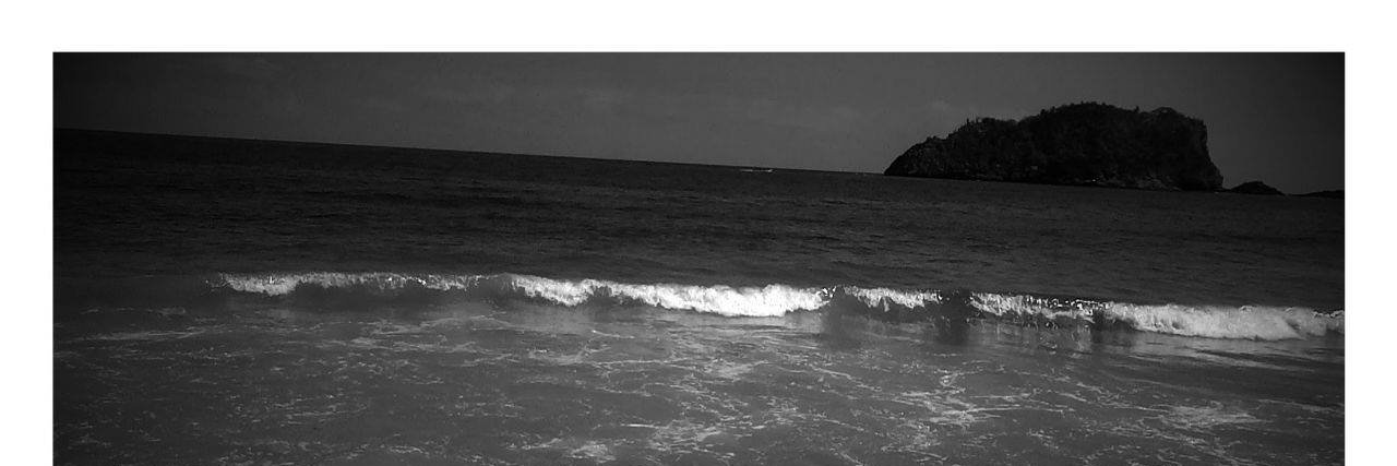 MichellG01's profile banner image