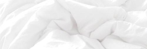 alohasugglet's profile banner image
