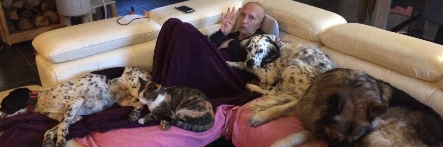 Nora.C.Rocher ☯ petit bambou🦀🫁💉🇫🇷🇪🇺🇺🇦 banner