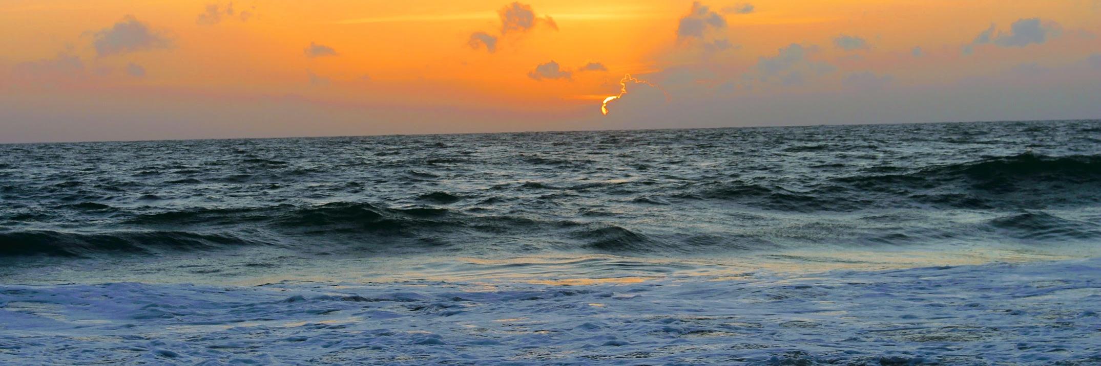 Ravi Pratap Maddimsetty banner