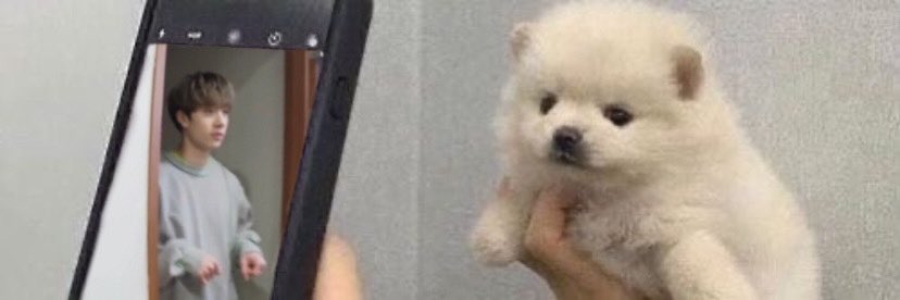 bangchan as puppies banner