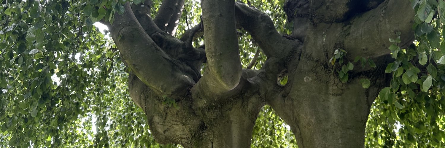 Gro Anita Trøan banner