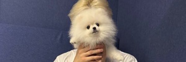 junghwanfeed Profile Banner