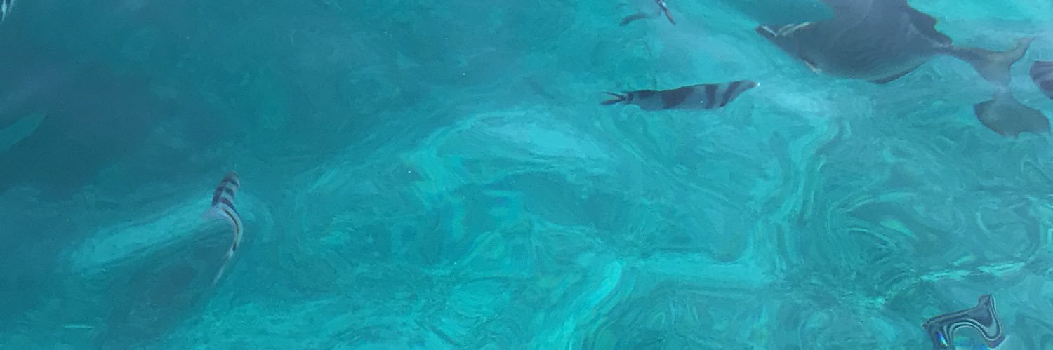 ipuds's profile banner image