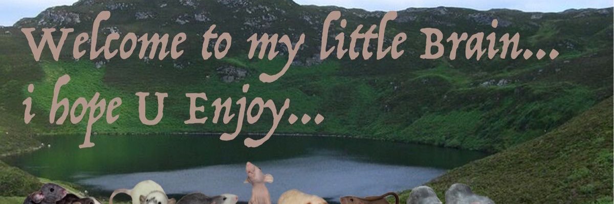 ตองเก้า banner