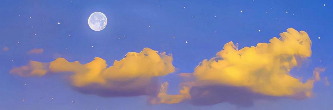 Rocky!! 🌻💛🦭's banner