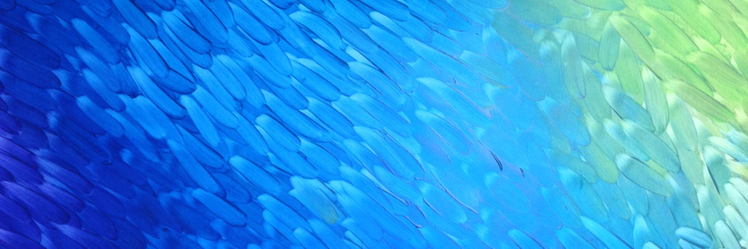 tonoyu's profile banner image