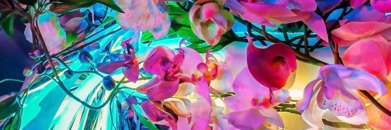 saItpetals's profile banner image