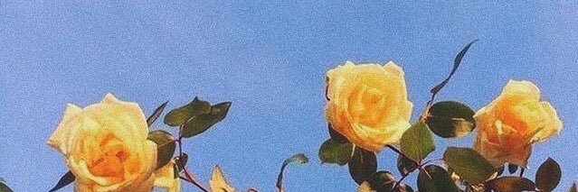heatherstark_'s profile banner image
