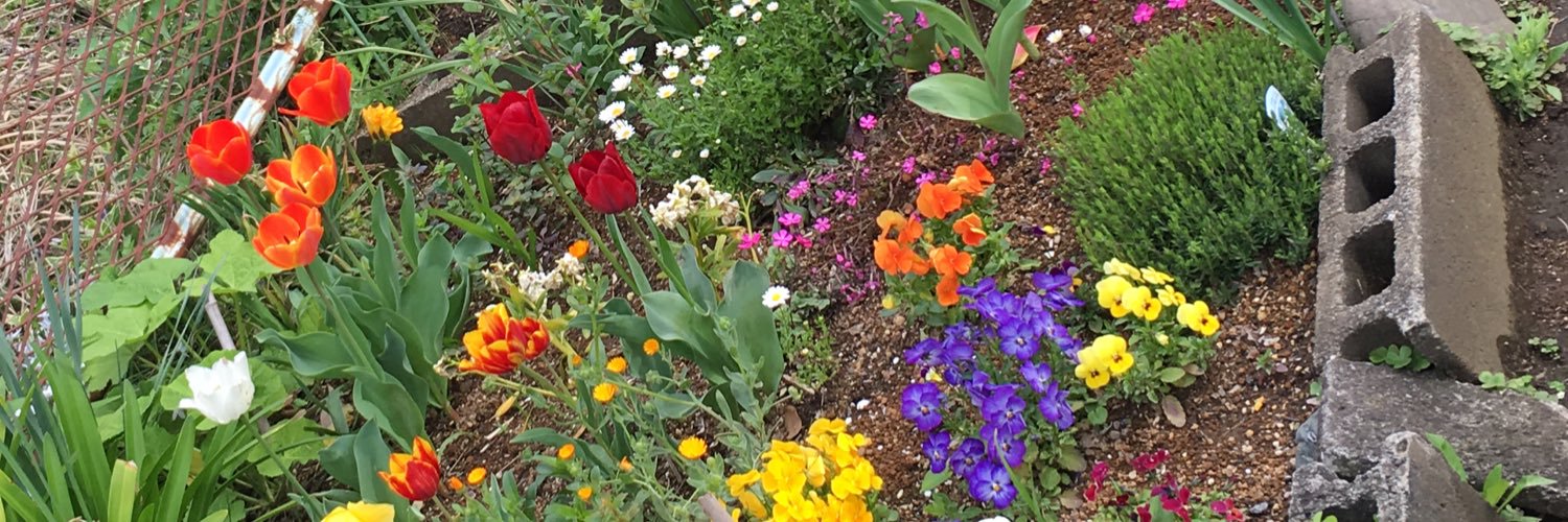 nihonmonamour's profile banner image