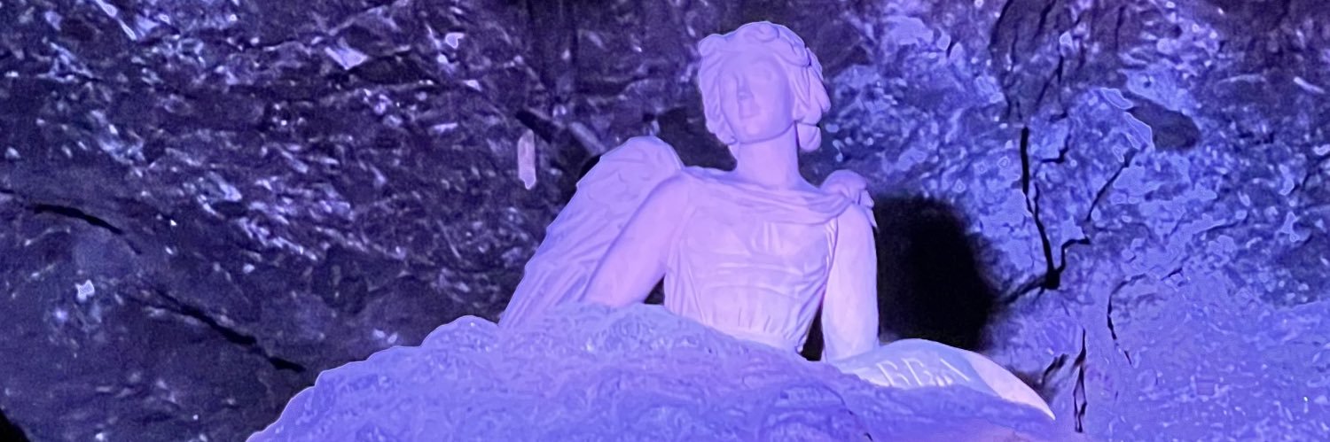 fortwitta's profile banner image