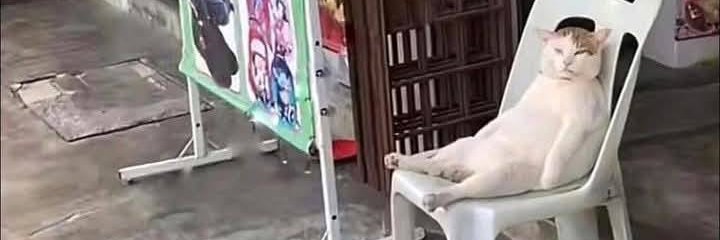 Tewe ฅ^•ﻌ•^ฅ banner