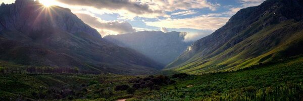 FireID Profile Banner