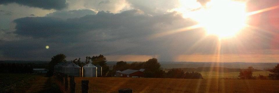 jessie-lyn boadway banner