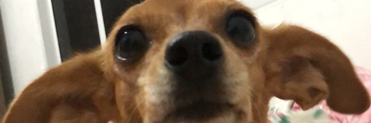 Iza banner