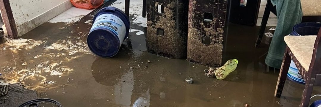 gopalakrishnanveluゴパラクリシュナンヴェル banner