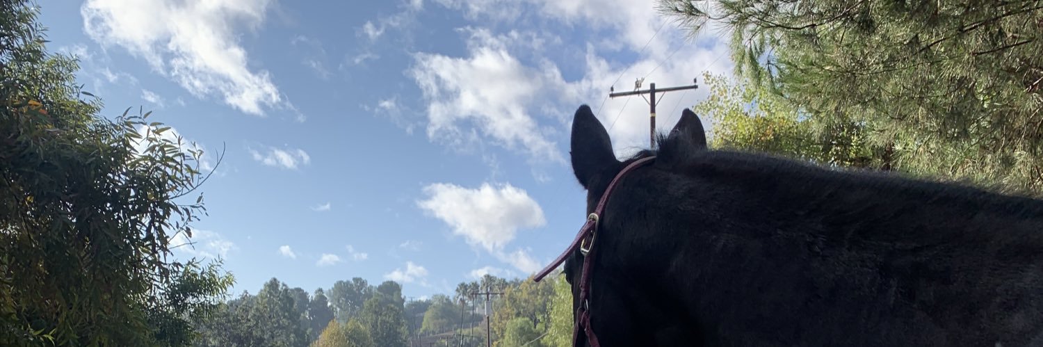 ZiemerEm's profile banner image
