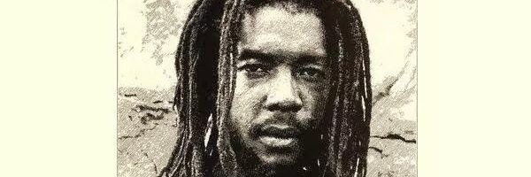 fLAWLESS DUMPtruck banner