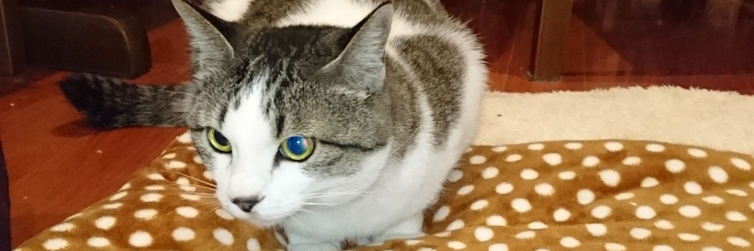 finley2304's profile banner image