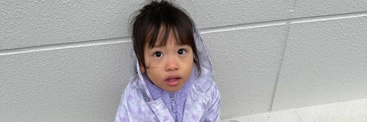 ִֶָ banner