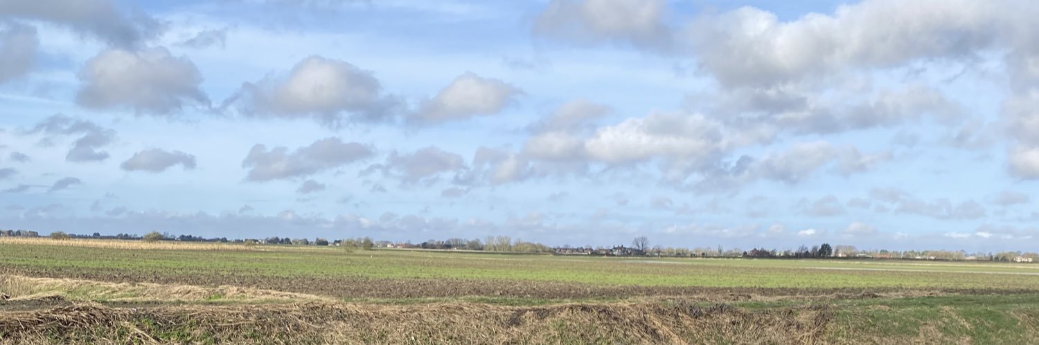 liblies's profile banner image